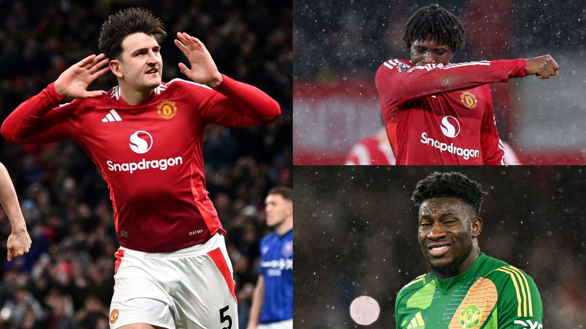 多样性提供 多样性提供