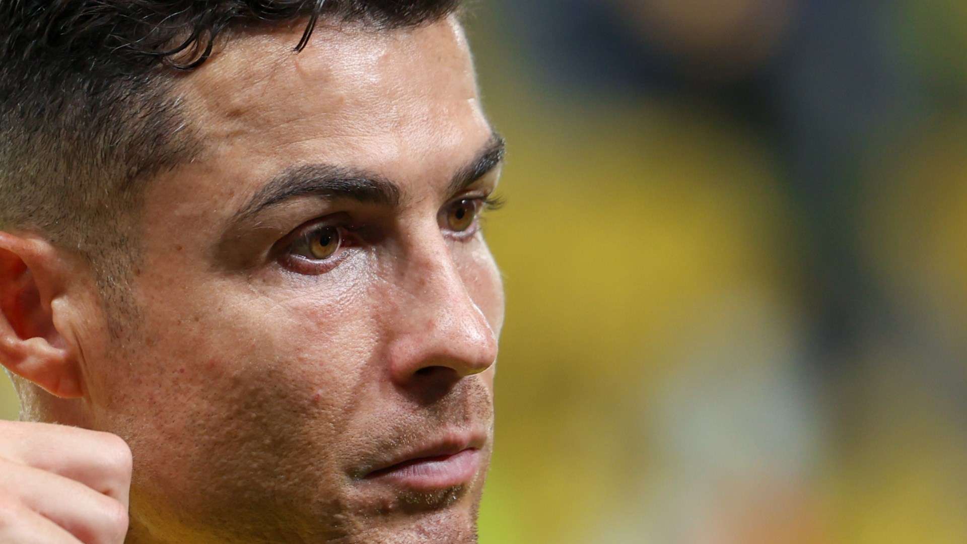 我们看到了 我们看到了